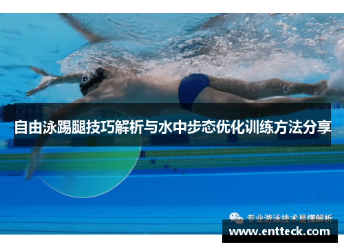 自由泳踢腿技巧解析与水中步态优化训练方法分享