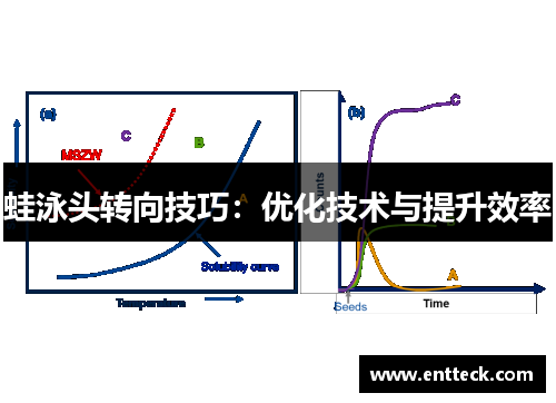 蛙泳头转向技巧：优化技术与提升效率