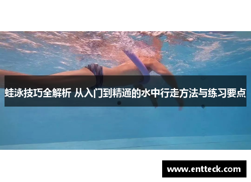 蛙泳技巧全解析 从入门到精通的水中行走方法与练习要点