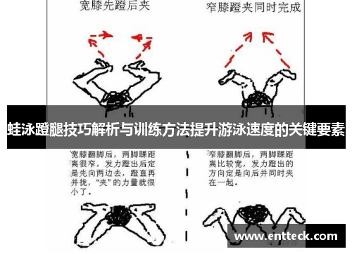 蛙泳蹬腿技巧解析与训练方法提升游泳速度的关键要素