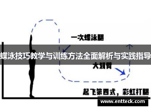 蝶泳技巧教学与训练方法全面解析与实践指导