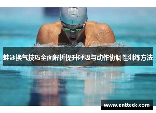 蛙泳换气技巧全面解析提升呼吸与动作协调性训练方法