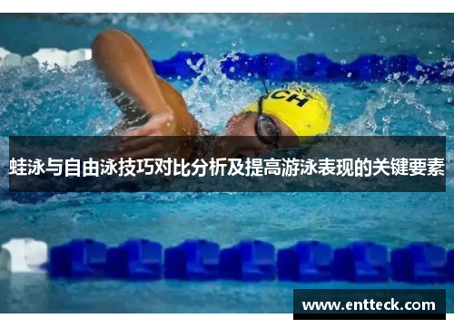 蛙泳与自由泳技巧对比分析及提高游泳表现的关键要素