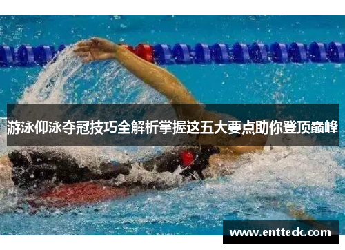 游泳仰泳夺冠技巧全解析掌握这五大要点助你登顶巅峰
